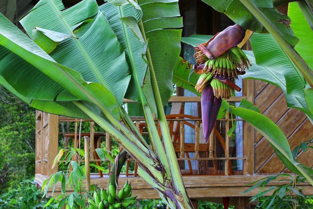 Melanting Cottages Munduk Extérieur photo